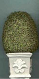 Dollhouse Miniature Topiary 4-1/2In Square Base